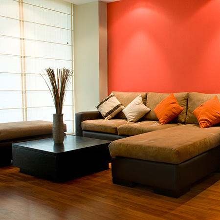 Portfolio Image 7